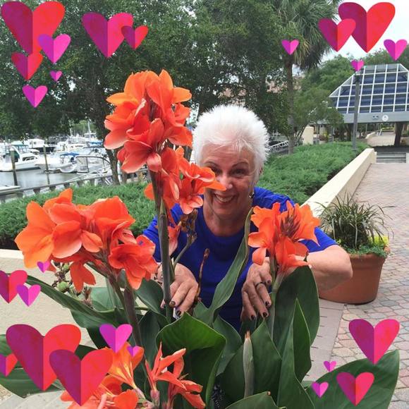 Meet your Posher, Louise - Picture 1 of 1